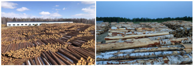 1719385897208712.png image.png